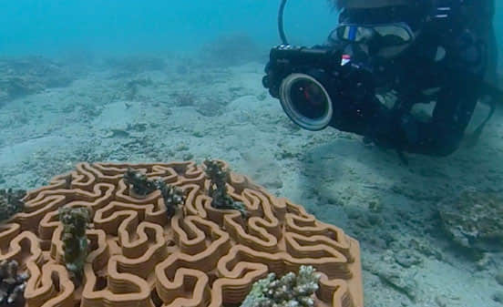 Ocean Literacy Overview